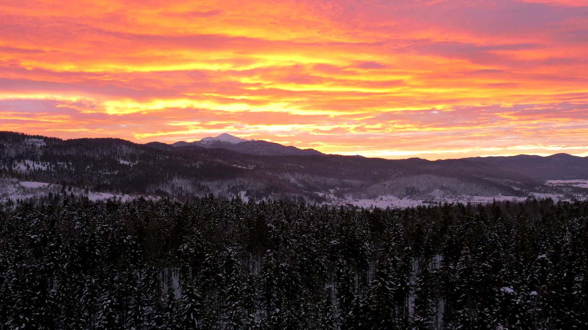 NatureCastApp's tweet image. #Nature and #relaxation are just what the doctor ordered.