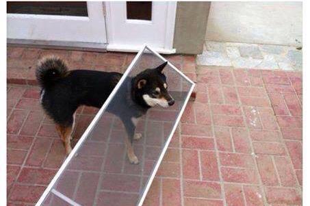 CurvyLadyProbs's tweet image. Friend from school: &quot;I&apos;m married with two investment properties&quot;

Me: