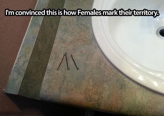 MensHumor's tweet image. How females mark their territory.