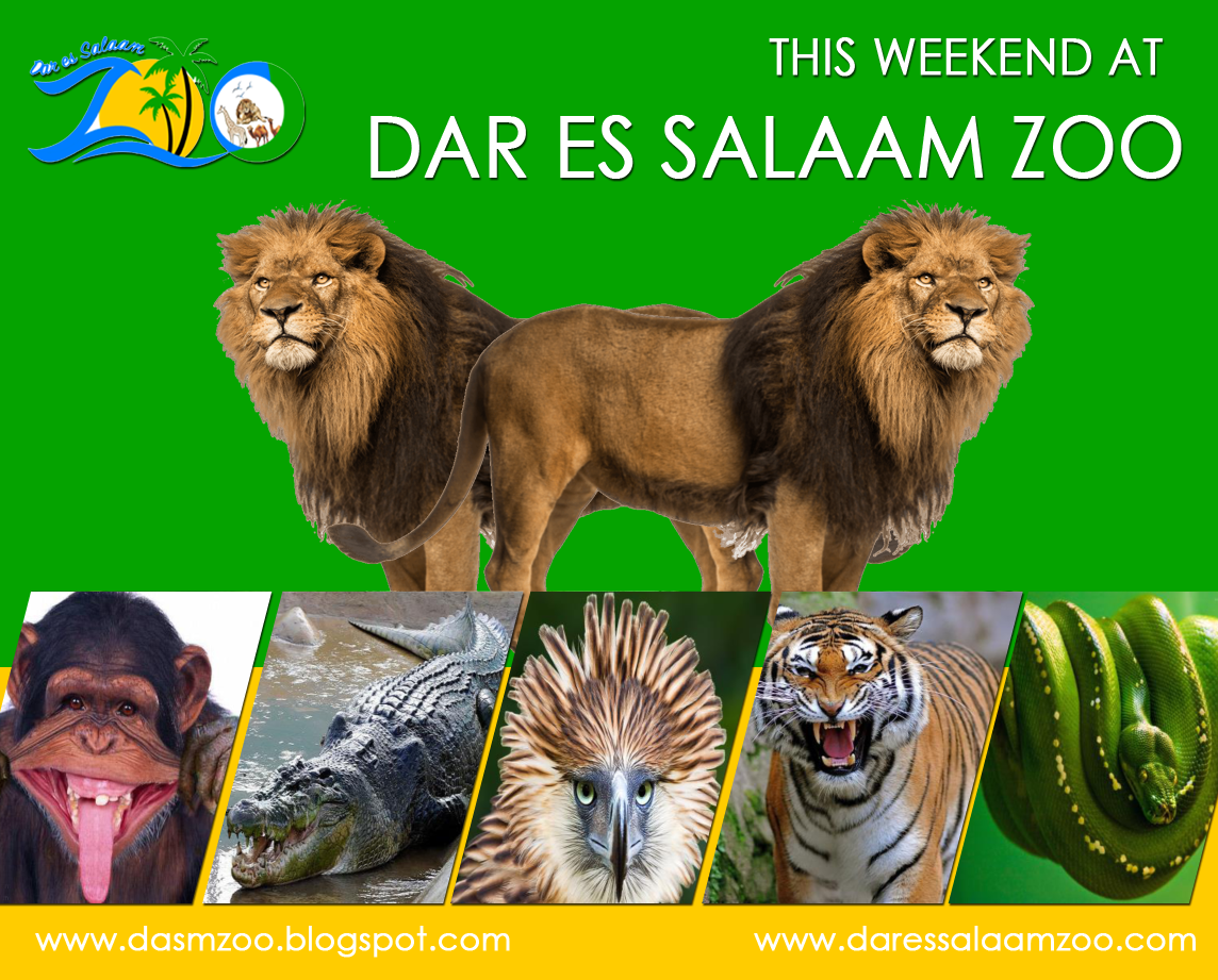 Dar Es Salaam Zoo Dar Zoo Twitter