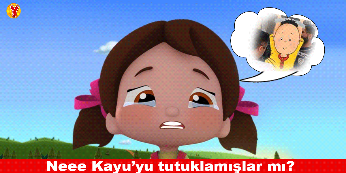 Kayu Reis tweet media
