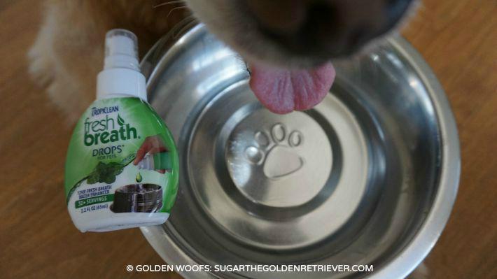 GoldenWoofs's tweet photo. Give your #dog a @tropiclean #TropiCleanFresh Breath http://t.co/5vylXikwTv +join #giveaway #ad http://t.co/9RQXYNsqgl