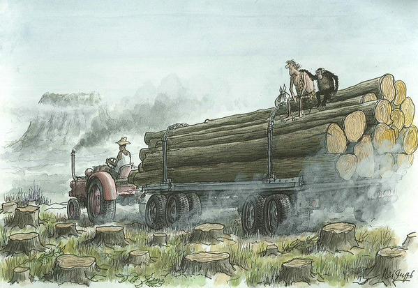 HergunYeniBilg's tweet image. "Doğa ile savaş halindeyiz. Eğer kazanırsak, kaybedeceğiz. "