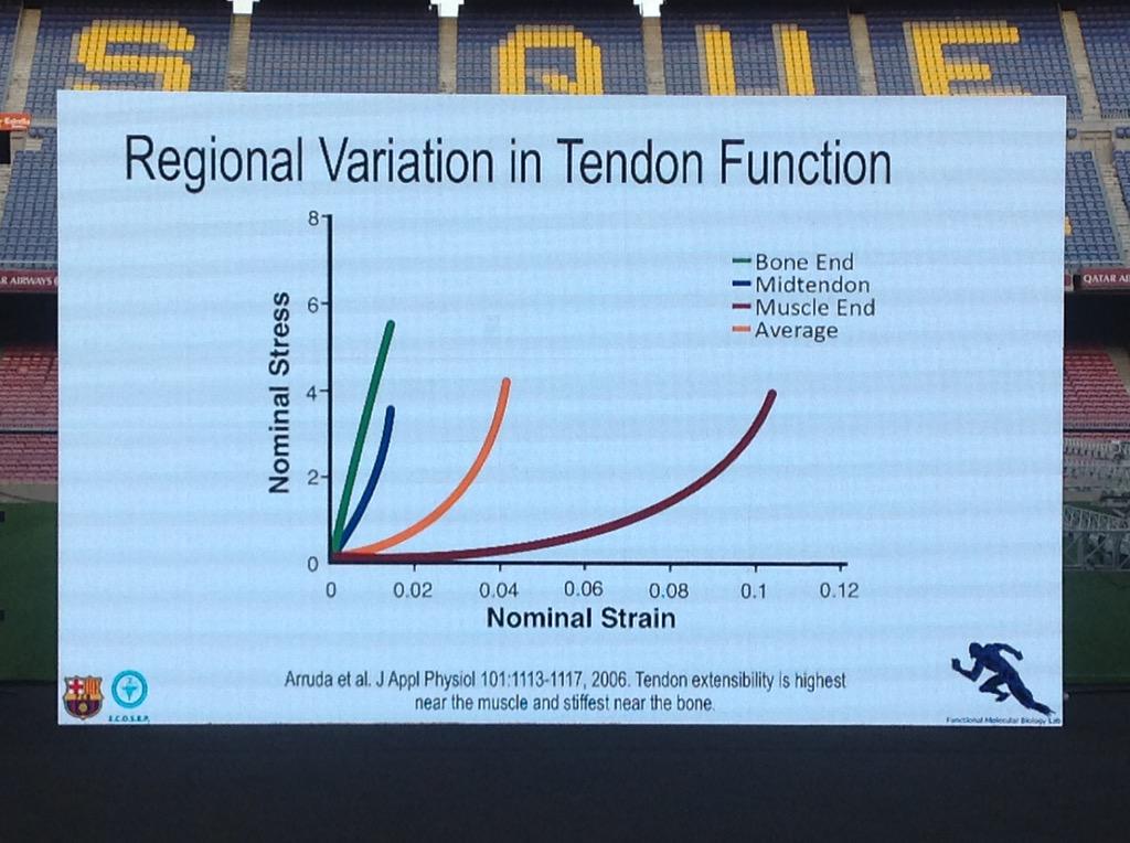 fizziowizzio's tweet image. Tendon variation in mechanics #MTNECOSEP