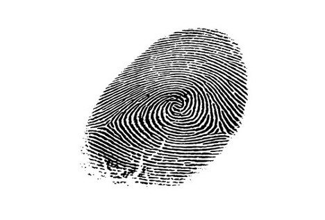 WinAplicaciones's tweet image. bit.ly/1W8i0b1 Android 6.0: Cómo hacer Compras  ... - #Android60 #HuellasDáctilares #Nexus h ...