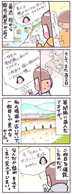 「見れずじまい」
#漫画 #コミック #イラスト #角川 