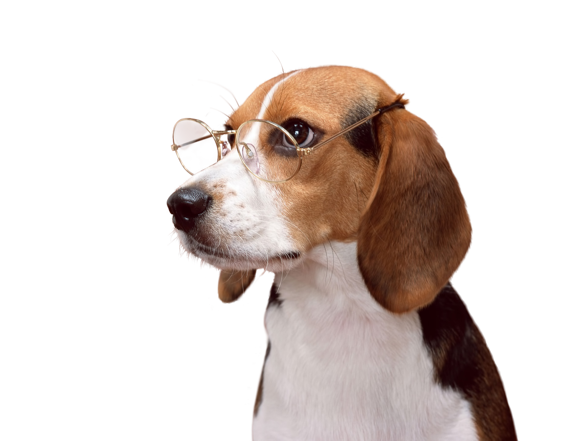 rmnb's tweet image. CAPS WIN goo.gl/N1viWe now go to bed