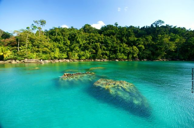 Go to the #Madagascar's best #wildlife watching spot >> bit.ly/1iwdhhm #travel #WanderlustWednesday #ttot