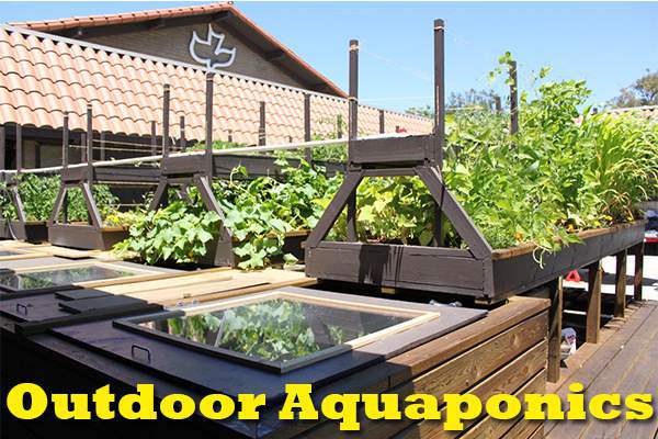 Diy Aquaponics Plans On Twitter The Important Aspects Of Outdoor