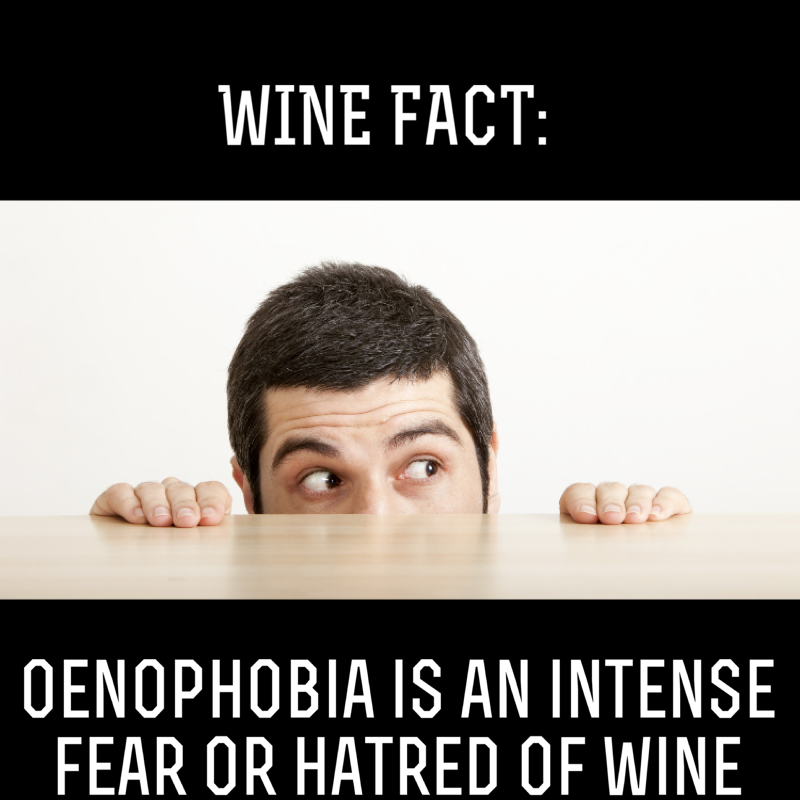 mywanderwine's tweet photo. We can’t imagine this &amp; feel so sorry for anyone who suffers this! #wanderwine #winelover #winefact #fact https://t.co/V94lUSDQUl