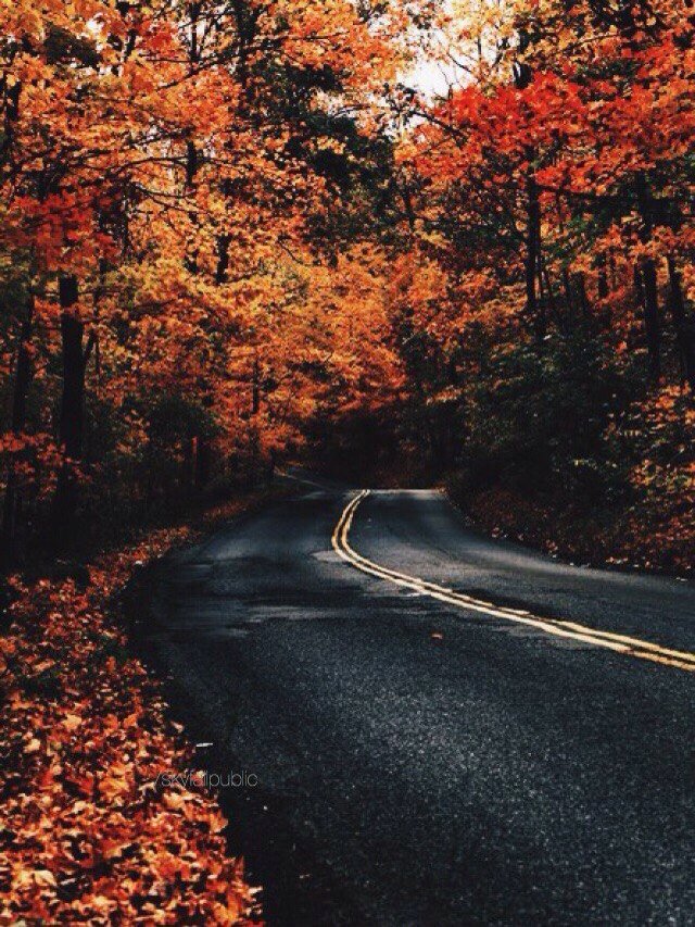 karrdashhian's tweet image. 🍁#rt 🍂
🍁читай меня🍂
🍁читай ретвитнувших🍂
🍁жди новых читателей🍂
🍁#цепочкафолловеров 🍂
🍁#цепочкатвиттерских 🍂