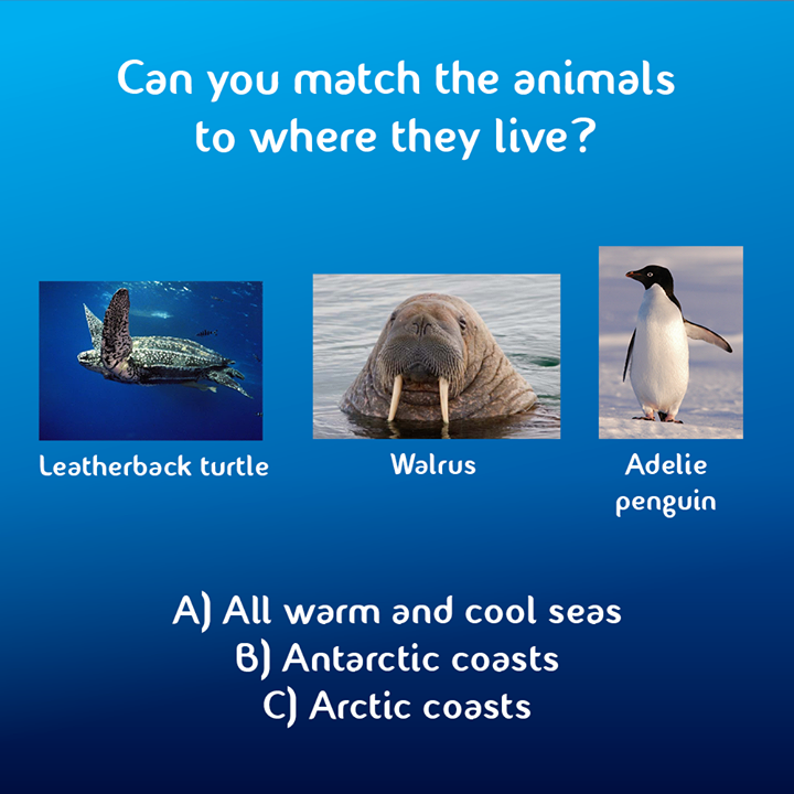 TheDeepHull's tweet photo. Hi Friday friends! Can you answer this question? #fridayfriends #justforfun #quiz #thedeephull #wheredotheylive https://t.co/N2sAAdtWY4