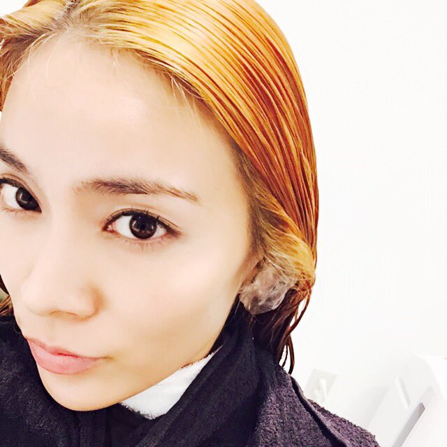 埋め込み画像への固定リンク