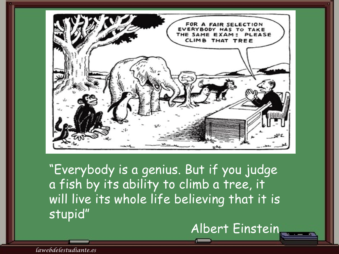 This circled around the #TEDS office and was too good not to share! #personalisededucation