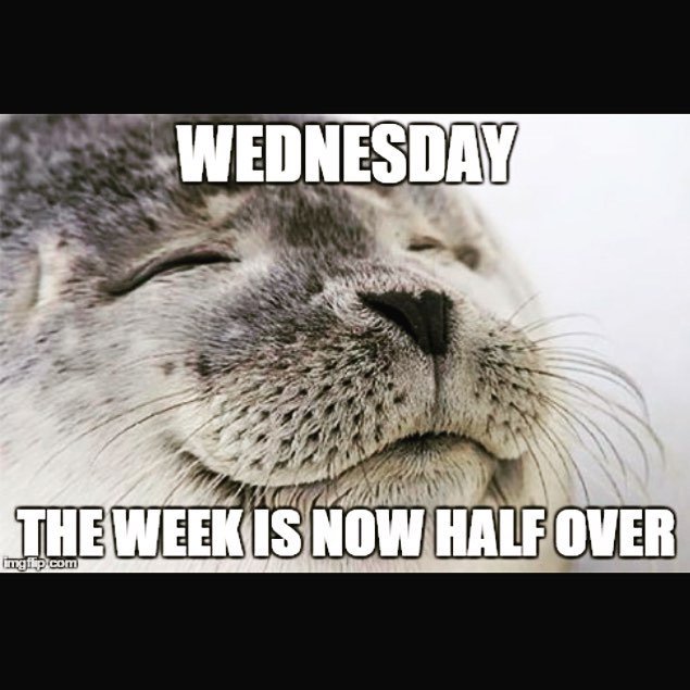 CiAmbassador's tweet image. Look at this cutie! #tgiwednesday half way through the week! We can do it! If you're studying for tests or even jus…