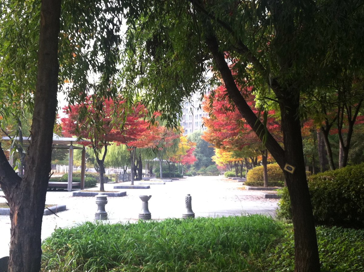 writewinter's tweet image. 나무들이 마르고 있다