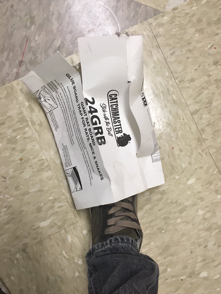 herndonjw's tweet image. So this just happened...#miltonproblems #rodentproblems