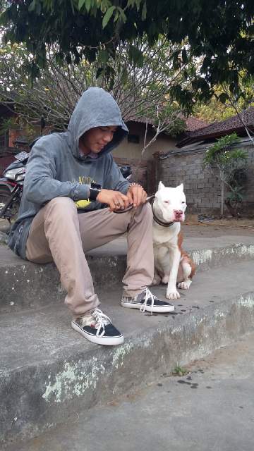 KIRUN ,de gus (@kirun_69polo) on Twitter photo 