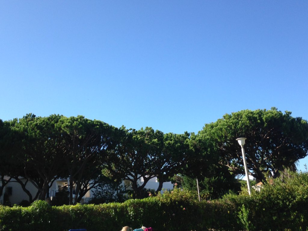 abi2003's tweet image. Portugal 2K15🇵🇹