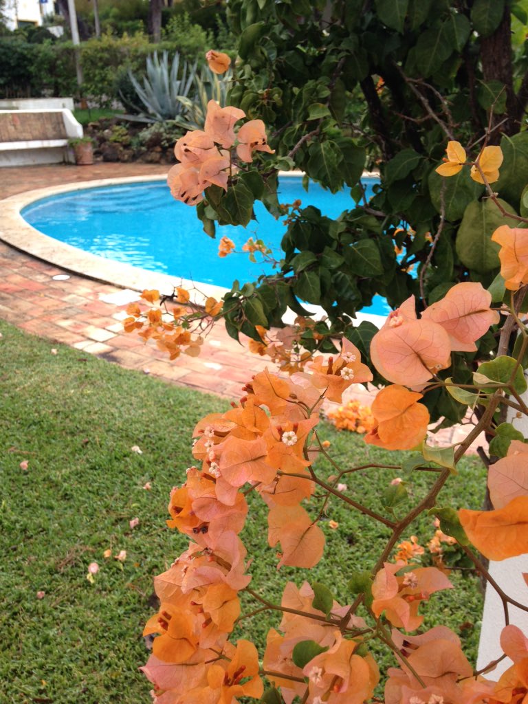 abi2003's tweet image. Portugal 2K15🇵🇹