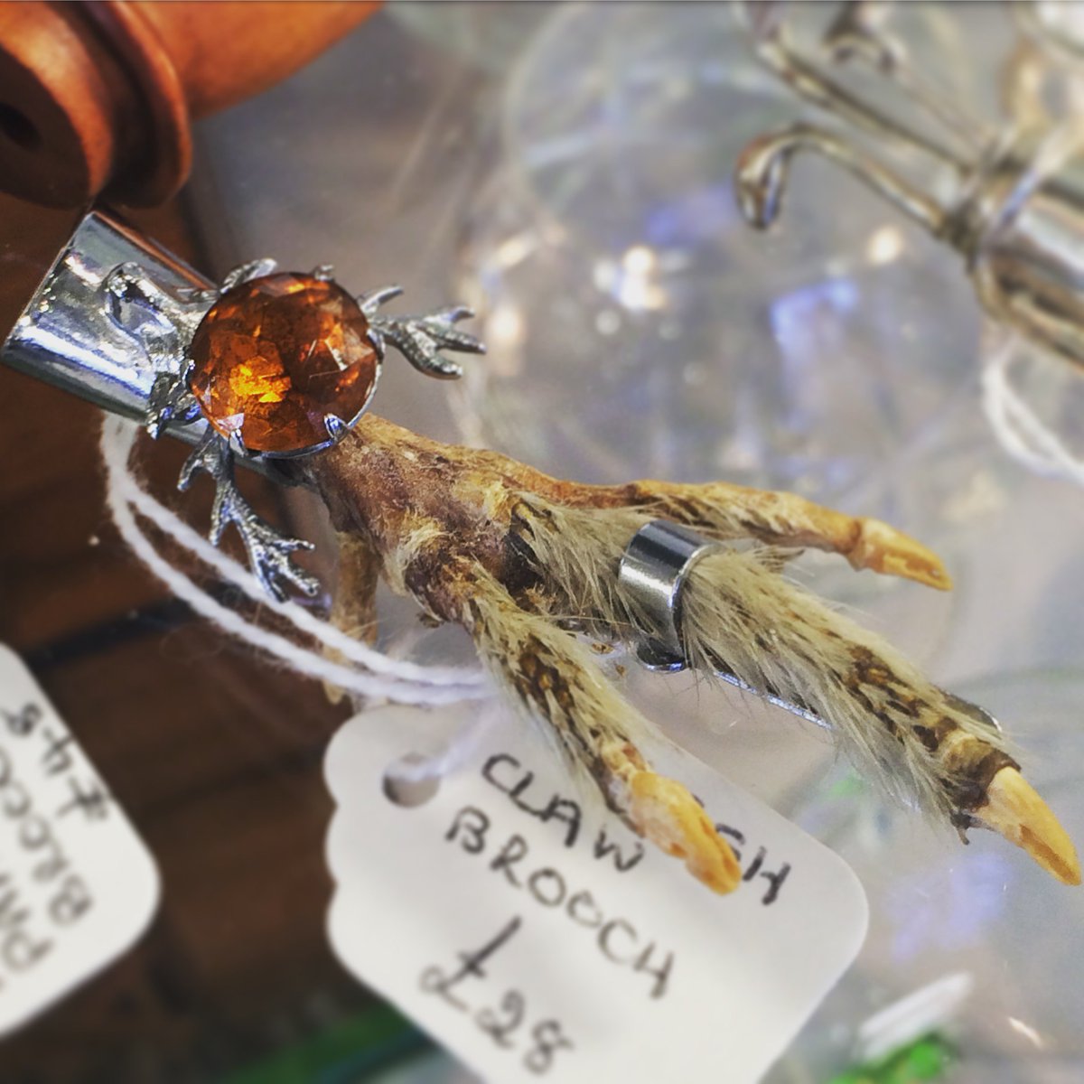If you know someone who likes a touch of the unusual, perhaps they would like this amber claw brooch? #gloucester