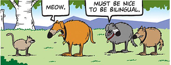 KnowGreenCT's tweet image. .@XFINITY&apos;s new #LanguageChoice allows you to change languages as easily as you do in life bit.ly/1LLaRGZ