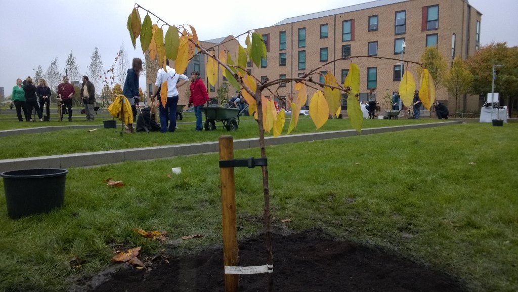 Loved getting my hands dirty & planing our #treeofhope. Yes, we named it @MMUBirley #communityplanting #Hulme