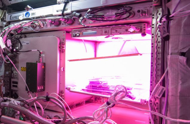 OrmrodElectric's tweet image. Growing Food In The Dark - bit.ly/1LLiD3A #ledfarming