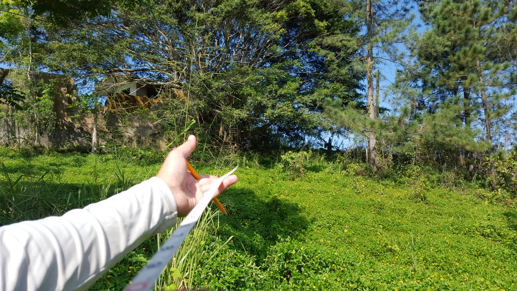 Para la Naturaleza tweet media