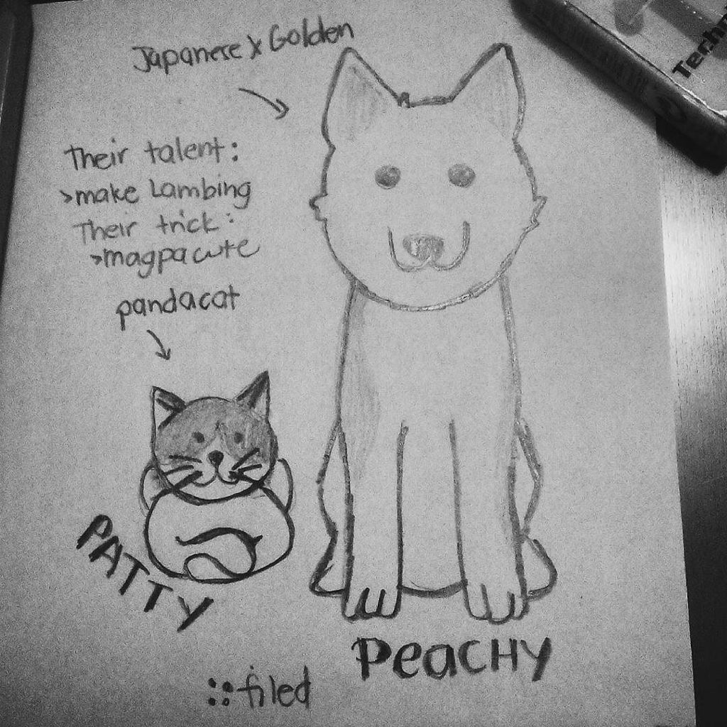 kotonkendii's tweet photo. #FILEDWonderADay #FILED2016Planners #petstagram #๐ถ #๐ป https://t.co/ppwfcPSlYu https://t.co/mJslDK3Fb6