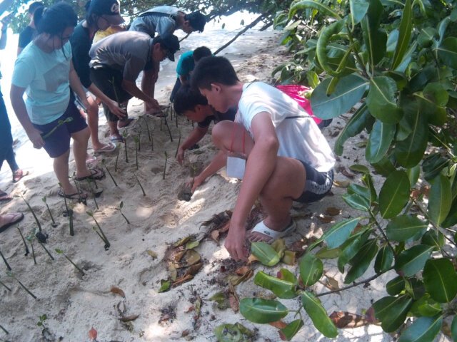 KSEPUNAS's tweet photo. Selain ada pelepasan penyu, kita juga melakukan penanaman mangrove di Pulau Bira Besar https://t.co/ixpECrbWIM