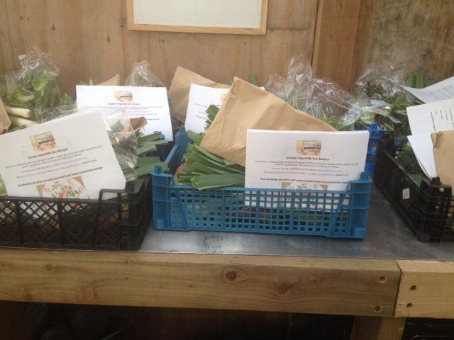 Veg box recipes created by the wonderful <a href="/LiasKitchen/">Lia's Kitchen</a> delivered today. Starring celeriac bit.ly/1W4ijhD