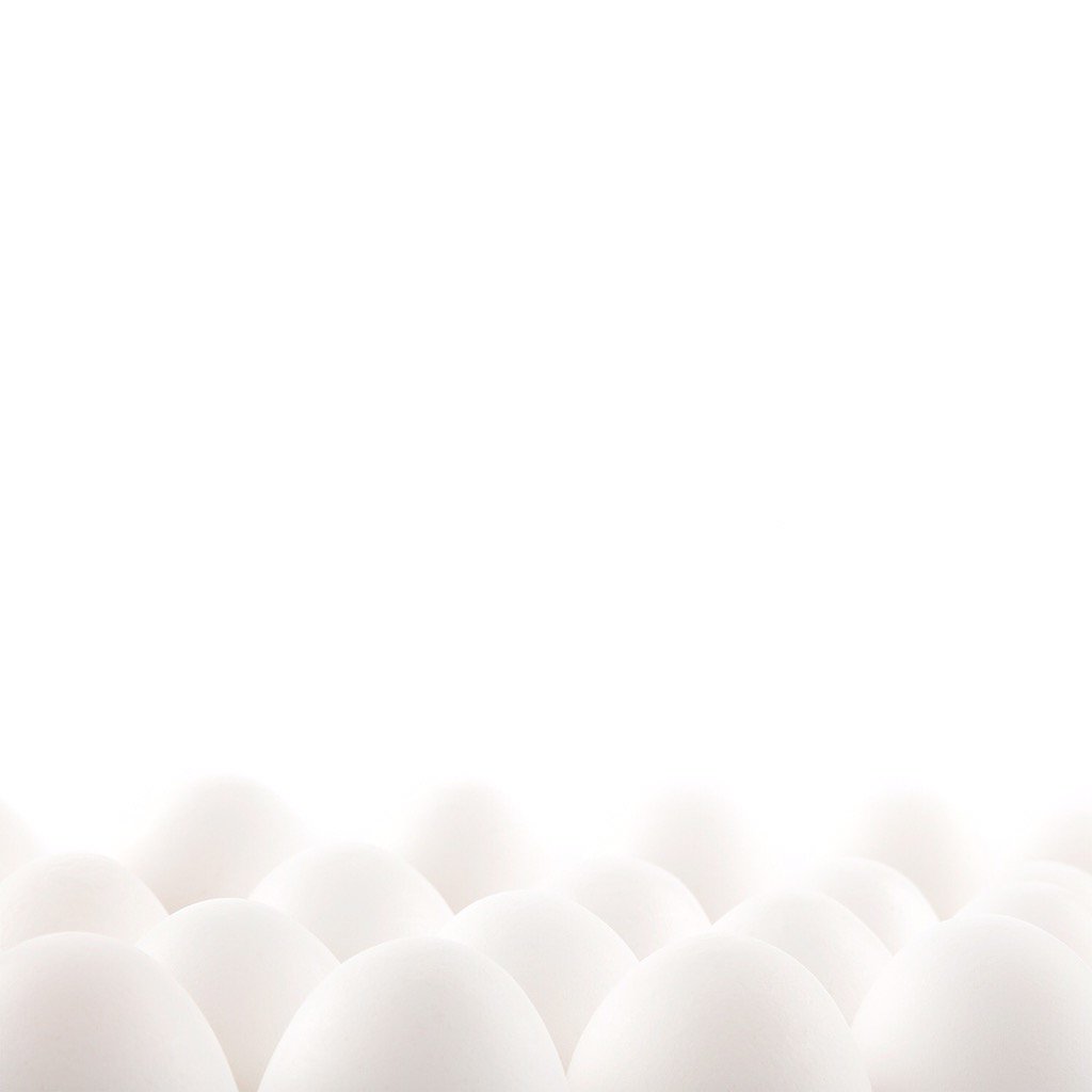 We played with #eggs #highkey #whiteonwhite