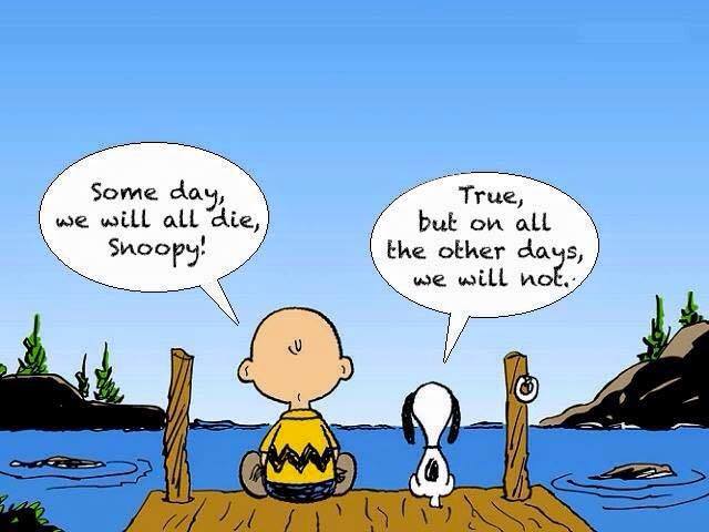 Bild auf Twitter anzeigen Charlie Brown und Snoopy sitzen am See