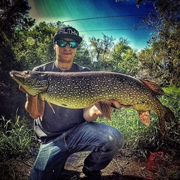 Filthy Anglers tweet media