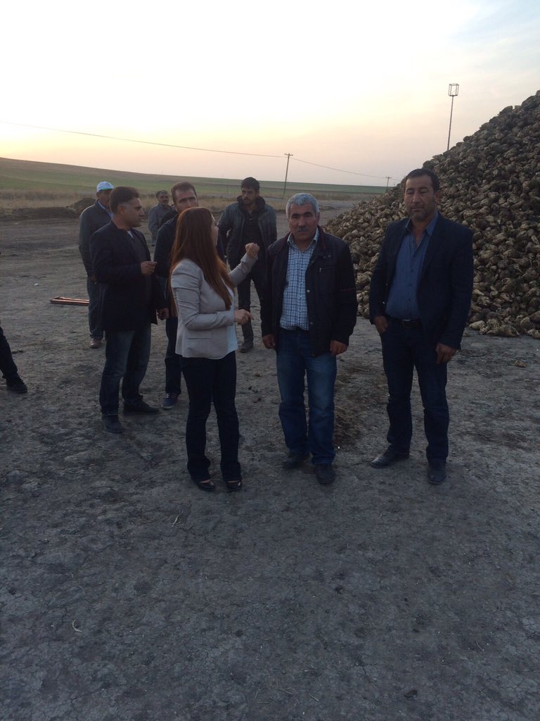 RiSerhat's tweet photo. Şeker pancarı teslim kantarlarında çalışan emekçilerimizi ziyaret ettik. Tek temenni #İnadınaBarış https://t.co/4ydnTXsPFa