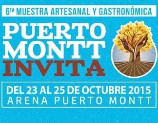 Arena Puerto Montt tweet media