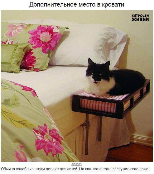 Khersonckay's tweet image. Полезные советы #домоводство hersonckay.ru/post374678928/