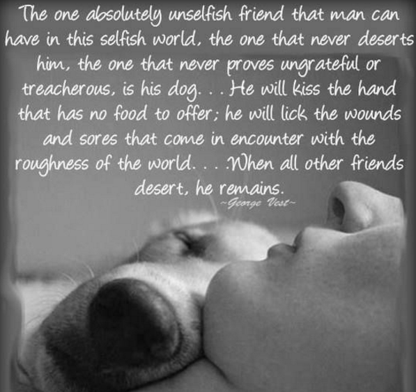 super_dogdad's tweet photo. Help save Kansas #NoKill #AnimalRescue @UnleashedRescue @TammyUWC 
@KohleenL
goto https://t.co/UCgCrZTuzt to Help https://t.co/CLWzeFgfJm