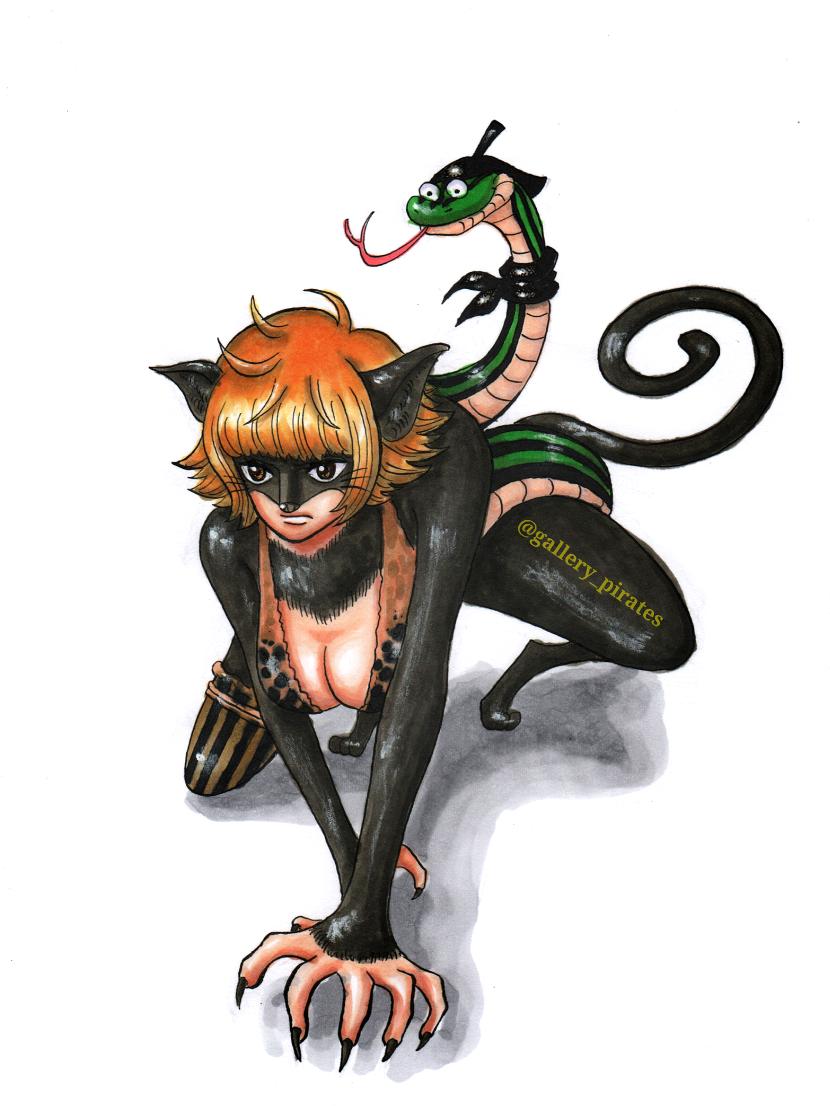 ヒヒロット マーガレット人獣型 尾田先生の設定画より ネコネコの実の黒猫人間 たぶん T Co Bhcyn4udln