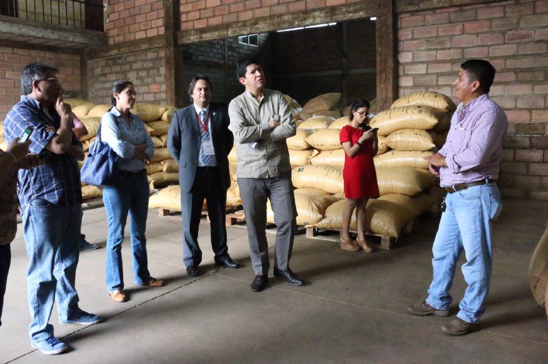 ProEcuador_'s tweet photo. Ministro Diego Aulestia visita la organización de pequeños cacaoteros #UNOCACE en el #Guayas. https://t.co/36FY7ZKfEy
