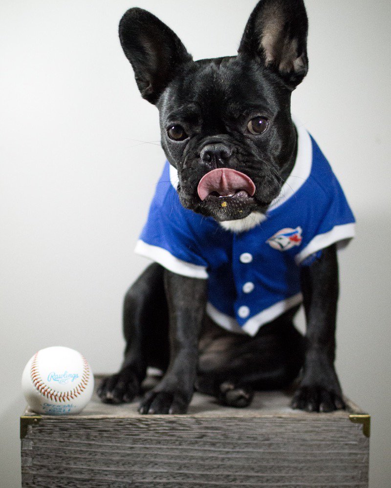 I want to be #tulo for Halloween! <a href="/BlueJays/">Toronto Blue Jays</a>
