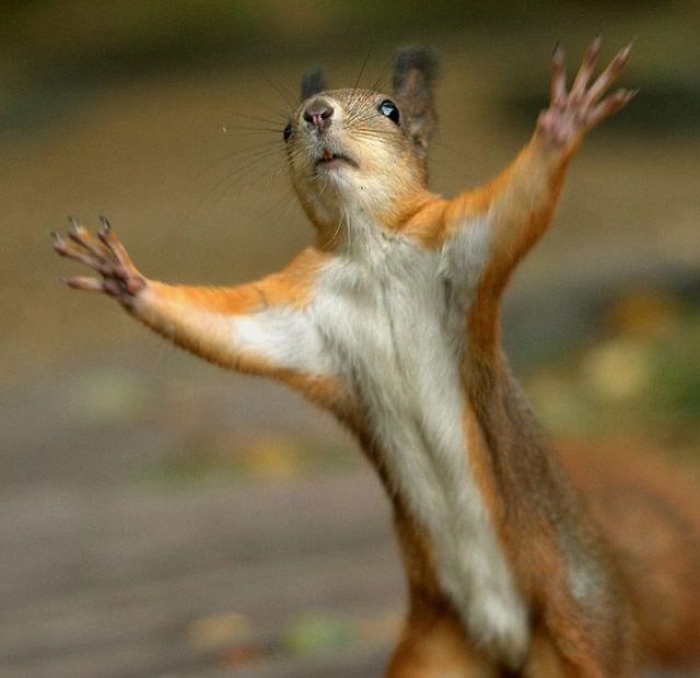 �������� � �������� ���