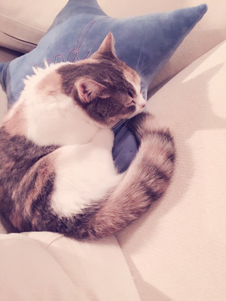 埋め込み画像への固定リンク