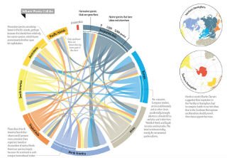 Invasive plants are moving south from the Northern Hemisphere scientificamerican.com/article/invasi… via <a href="/sciam/">Scientific American</a> #InvasiveSpecies