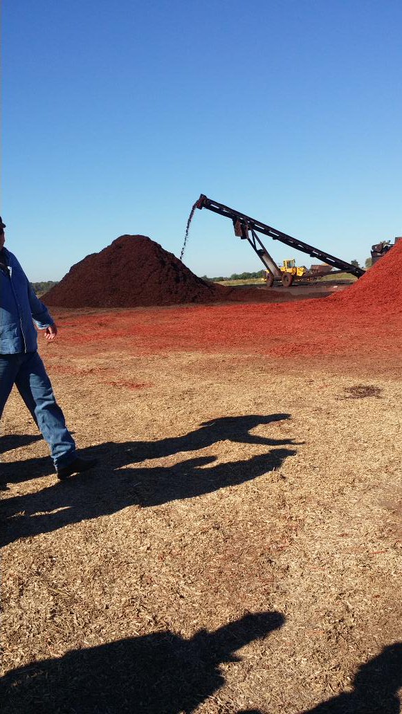 CommercialLbr's tweet photo. Beautiful colored mulch at Pallet One! #nwpcafall15 https://t.co/NzifACuWjm