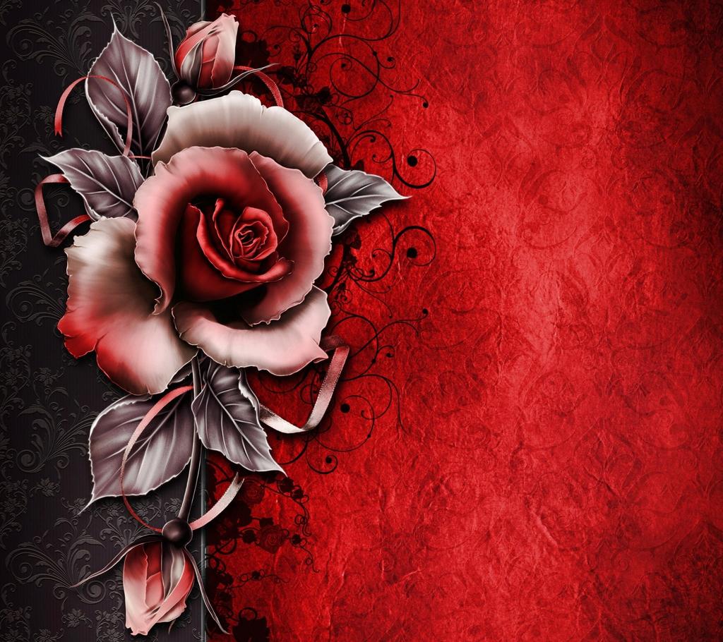 washcloth's tweet photo. صباح الورد https://t.co/zXTVVg5v3J