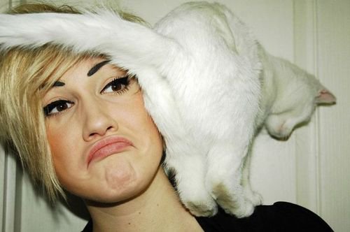 operationcatnip's tweet image. How to Tell Whether a Male Cat Is Fixed | Catster buff.ly/1RmihQV
#spayandneuter #tnr #operationcatnip