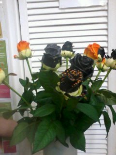 Roses in ready for #halloween