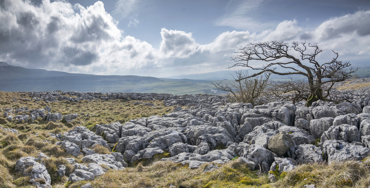 BUZZYORKSHIRE tweet media